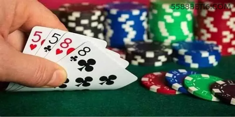 5588bet Logo